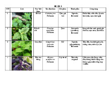 Nhận thức về dược liệu trong nghiên cứu y học | Đại học Y Dược Thành phố Hồ Chí Minh