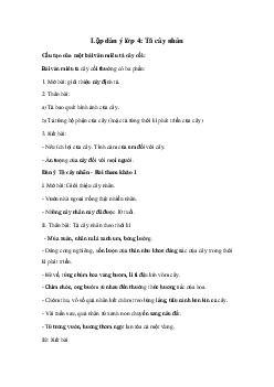 Dàn ý Tả cây nhãn  | Tập làm văn lớp 4