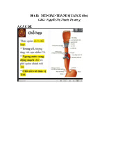 Bài 11: Mũi, hầu, thanh quản | Môn Giải phẫu 1 - Đại học Cần Thơ