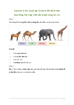 Soạn bài Luyện từ và câu: Luyện tập về tính từ | Kết nối tri thức