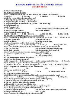 Đề cương ôn tập học kì 1 môn Tin học 10 sách Kết nối tri thức với cuộc sống