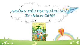 Giáo án điện tử Tự nhiên và Xã hội 2 Bài 14 Kết nối tri thức: Cùng tham gia giao thông