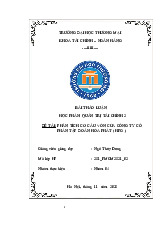 Phân Tích Cơ Cấu Vốn Tập Đoàn Hòa Phát (HPG) | Bài thảo luận Học Phần Quản Trị Tài Chính 2