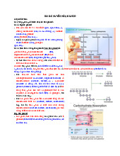 Bài 8: Chuyển Hóa Glucid trong Hóa Sinh môn Hóa học | Trường Đại Học Tây Nguyên