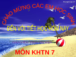 Giáo án điện tử Khoa học tự nhiên 7 bài 3 Kết nối tri thức : Nguyên tố hoá học