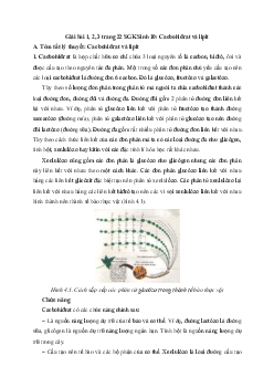 Giải bài tập trang 22 SGK Sinh học lớp 10: Cacbohiđrat và lipit