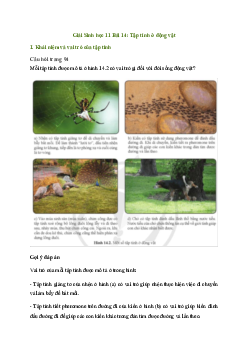 Bài 14: Tập tính ở động vật | Giải Sinh 11 Cánh diều