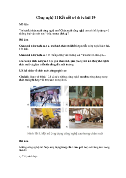 Công nghệ 11 Kết nối tri thức bài 19: Chăn nuôi công nghệ cao