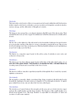 Tài liệu từ vựng Tiếng Anh B1: Internal Organs/Đại học y dược Huế