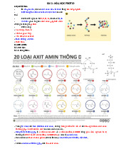 Hóa Sinh Protid: Chức Năng, Cấu Trúc và Tính Chất Của Acid Amin môn Hóa học | Trường Đại Học Tây Nguyên