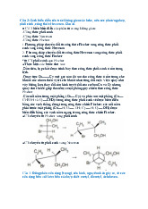 TOP 18 câu hỏi lý thuyết hóa hữu cơ | Đại học Tây Nguyên