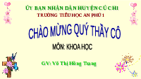 Giáo án điện tử Khoa học 4 Chân trời sáng tạo: Âm thanh trong cuộc sống