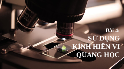Giáo án điện tử Khoa học tự nhiên 6 bài 4 Kết nối tri thức : Sự dụng kính hiện vi quang học