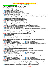 Ngân Hàng Đề Kiểm Tra Giữa Kỳ 1 Vật Lí 10 Kết Nối Tri Thức 2025-2026 Có Đáp Án