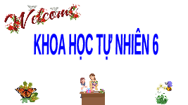 Giáo án điện tử Khoa học tự nhiên 6 Chủ đề 7 Chân trời sáng tạo : Ôn tập