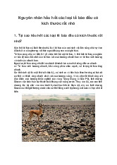 Tại sao hầu hết các loại tế bào đều có kích thước rất nhỏ? - Khoa học tự nhiên 6