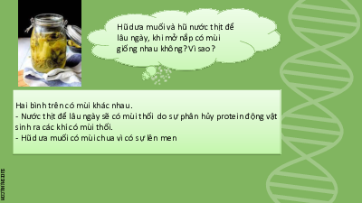 Bài 19 | Bài giảng PowerPoint môn Sinh học 10 | Cánh diều