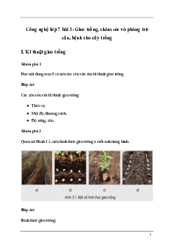 Giải Công nghệ 7 Bài 3: Gieo trồng, chăm sóc và phòng trừ sâu, bệnh cho cây trồng | Kết nối tri thức