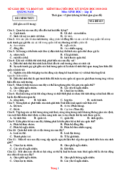 TOP 2 đề thi cuối học kỳ II năm 2020 - 2021 môn Sinh học 12 tỉnh Quảng Nam (có đáp án)