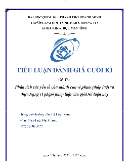 Tiểu luận cuối kỳ - Pháp luật đại cương | Trường Đại học CNTT Thành Phố Hồ Chí Minh