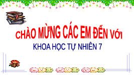 Giáo án điện tử Khoa học tự nhiên 7 bài 29 Chân trời sáng tạo : Trao đổi nước và các chất dinh dưỡng ở thực vật