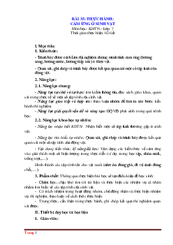 Giáo án KHTN 7 kết nối tri thức bài 35: Thực hành cảm ứng ở sinh vật