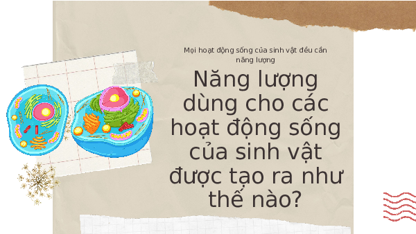 Bài giảng điện tử môn Khoa học tự nhiên 7  Sinh Học Bài 25: Hô hấp tế bào | Kết nối tri thức