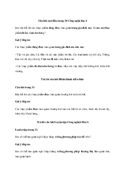 Giải Công nghệ 6 Bài 6: Bảo quản thực phẩm | Cánh diều