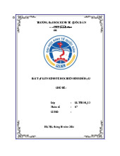 Bài tập lớn Môn Kinh tế học biến đổi khí hậu | Đại học Kinh Tế Quốc Dân