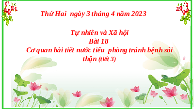 Giáo án điện tử Tự nhiên và xã hội 2 Bài 18 Cánh diều: Cơ quan bài tiết nước tiểu: Phòng tránh bệnh sỏi thận