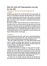 Phân tích nhân vật Tràng sáng hôm sau chọn lọc hay nhất