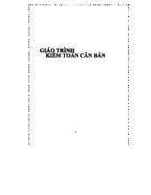 Giáo Trình Kiểm Toán Căn Bản - Học Phần Kỹ Thuật và Quy Trình (KTCB)