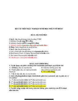 TOP 300 Câu hỏi trắc nghiệm môn Sinh học phân tử (có đáp án) | Trường Đại học Nguyễn Tất Thành