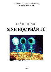 Giáo trình Sinh học phân tử | Giáo trình môn Di truyền y học | Trường Đại học Y khoa Vinh