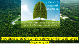 Giáo án điện tử Khoa học tự nhiên 7 bài 23 Chân trời sáng tạo : Quang hợp ở thực vật