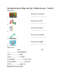 Bài tập cuối tuần Tiếng Anh lớp 3 Global Success - Tuần 28