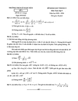 Đề khảo sát Toán 9 tháng 9 năm 2023 – 2024 trường THCS Lê Ngọc Hân – Hà Nội