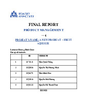 A new product - fruit squeeze | Final Report Product Management