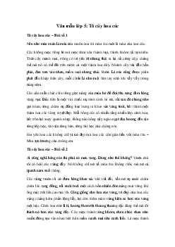 Tả cây hoa cúc lớp 5 Hay, Ngắn gọn | Tập làm văn 4