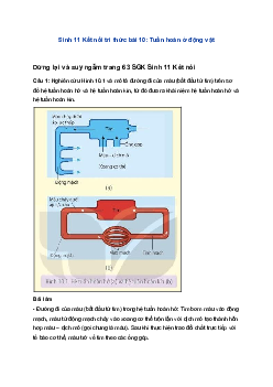 Sinh 11 Kết nối tri thức bài 10: Tuần hoàn ở động vật