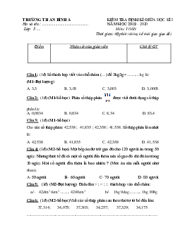 Đề thi giữa học kì 1 môn Toán lớp 5 trường TH An Bình A, Đồng Tháp năm học 2019 - 2020