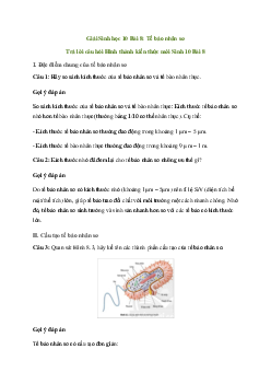 Sinh học 10 Bài 8: Tế bào nhân sơ sách Chân Trời Sáng Tạo