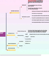 Sơ đồ tư duy PLDC Chương 1: Vấn đề cơ bản của Nhà nước