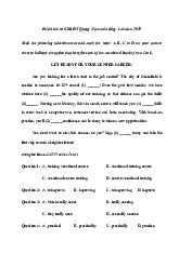 Đề thi thử tốt nghiệp THPT 2025 môn tiếng Anh sở GD&ĐT Quảng Nam