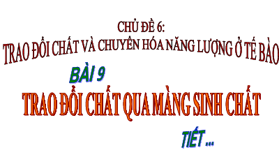 Bài 9 | Bài giảng PowerPoint môn Sinh học 10 | Cánh diều