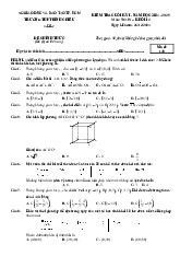 Đề cuối kỳ 1 Toán 12 năm 2024 – 2025 trường THPT Bình Chiểu – TP HCM