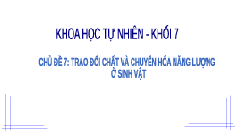 Giáo án điện tử Khoa học tự nhiên 7 bài 22 Chân trời sáng tạo : Vai trò của trao đổi chất và chuyển hóa năng lượng ở sinh vật