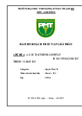 Xương cánh tay và cơ cẳng tay trước | Bài thu hoạch thực tập giải phẫu