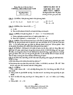 Đề thi HK2 Toán 9 năm 2019 – 2020 trường THCS Phan Sào Nam – TP HCM