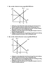Bài tập chính sách vĩ mô | Đại học Kinh tế Thành phố Hồ Chí Minh
